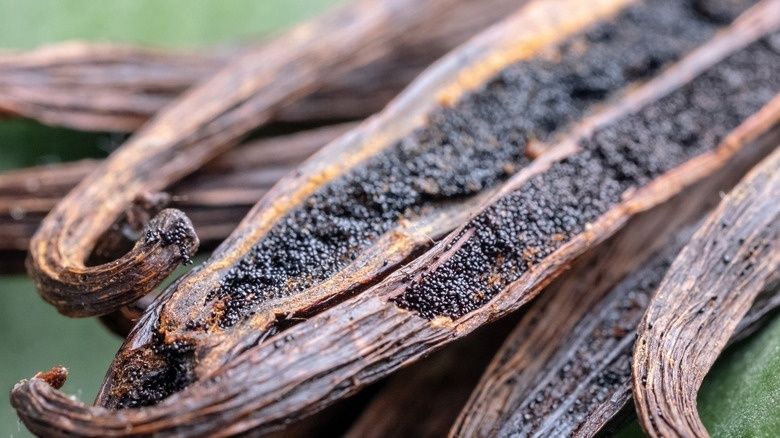 Äkta vanilj eller vanillin: Så avgör doftämnena skillnaden i ditt bakverk